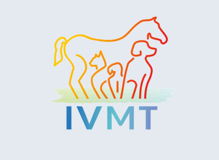 IVMT e.V. ist jetzt ein eingetragener Verein