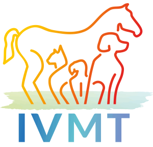 IVMT Euregio-Logo